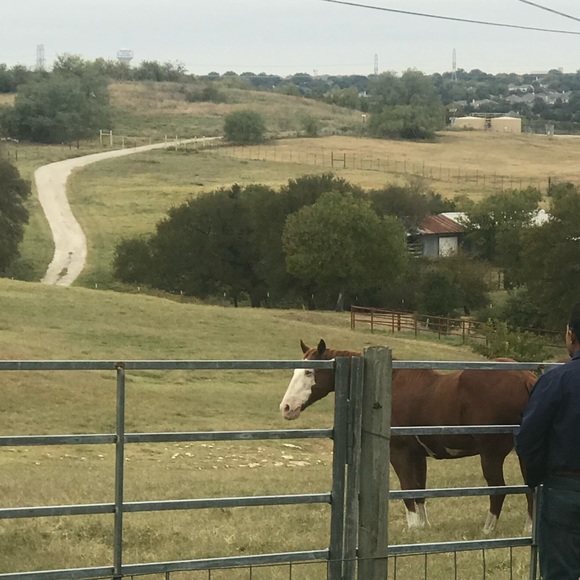 Meet your Posher, - Picture 9 of 16